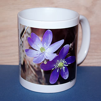 mug DS-049 6739.jpg